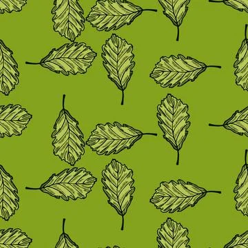 Leaves oak engraved seamless pattern. Vintage background botanical with fores Stock Illustration