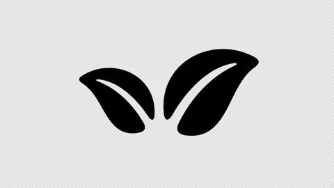 Leaves or leaf, sprouts from the ground, graphic animation. Alpha channel Video stock 288728795