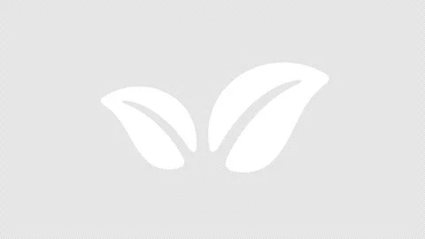 Leaves or leaf, sprouts from the ground, graphic animation. Alpha channel Video stock 288728796