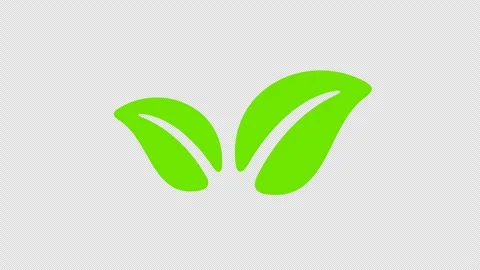 Leaves or leaf, sprouts from the ground, graphic animation. Alpha channel Video stock 288728799