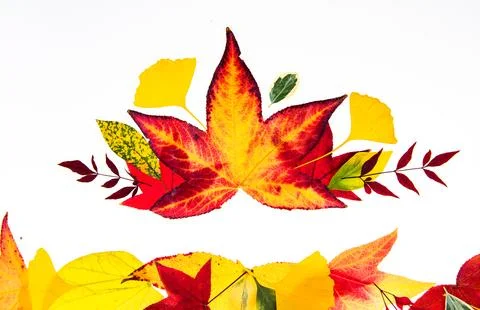 Leaves over leaves with leaf background. Leaves around leaf decoration. Autumn イラスト素材