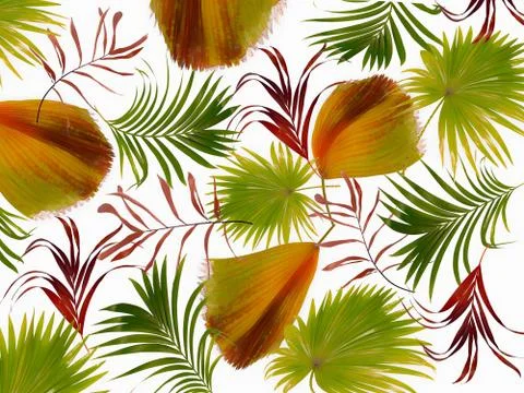 Leaves of palm tree background Fotos Stock