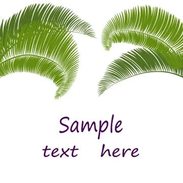Leaves of palm tree on white background. illustration Stock Illustration