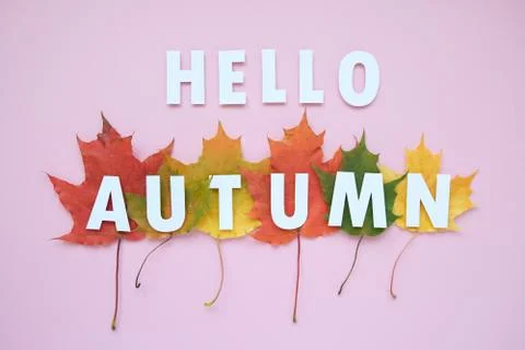 Leaves of paper fall red, orange, yellow leaf fall. Autumn concept Stock Illustration