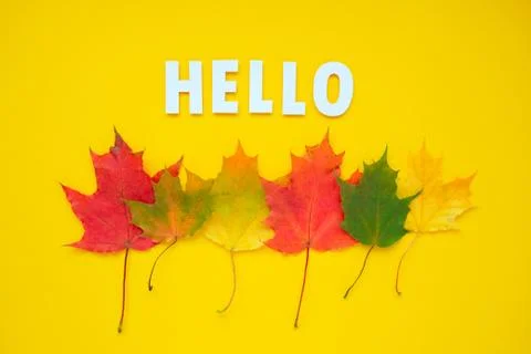 Leaves of paper fall red, orange, yellow leaf fall. Autumn concept Stock Illustration