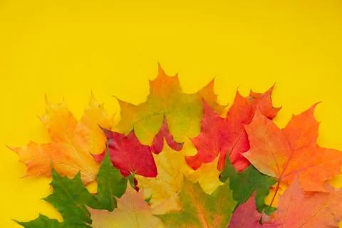 Leaves of paper fall red, orange, yellow leaf fall. Illustrazione stock
