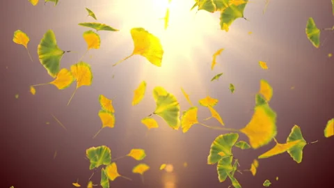 Leaves particle effect loop animation Vídeos de archivo 146125060