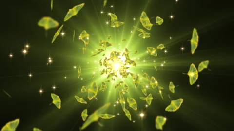 Leaves particle effect loop animation 스톡 동영상 146152001
