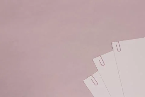 Leaves on pastel background 库存照片
