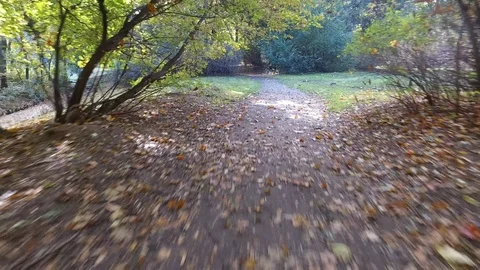 Leaves on a path in the park Video stock 97349346