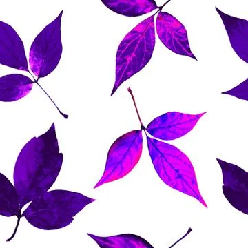 Leaves pattern Stock Illustration