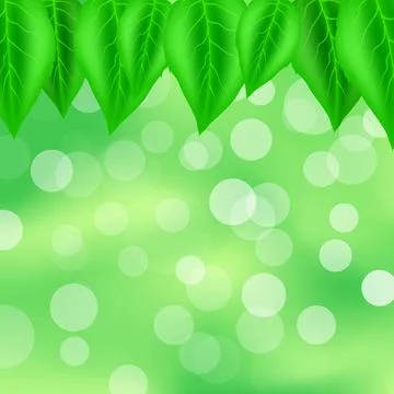 Leaves Pattern Spring Green Leaves Pattern. Green Blurred Background with ... Stock Photos