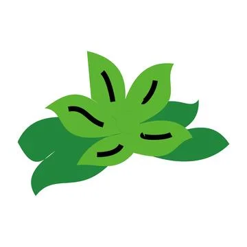 Leaves plant icon image vector illustration design green color. Stock Illustration