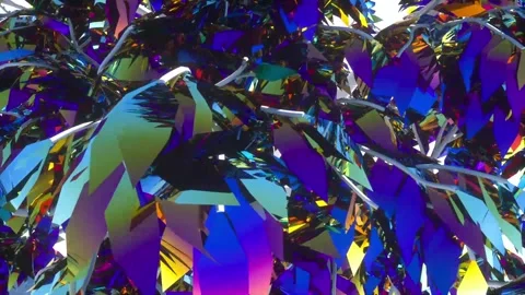The leaves of the rainbow tree reflect sunlight. Close-up. Stock Footage 143394710