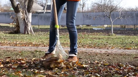 Leaves rake in rakes Vídeo Stock 94389111