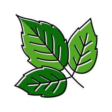 Leaves raspberry fruit color icon vector illustration Stock Illustration