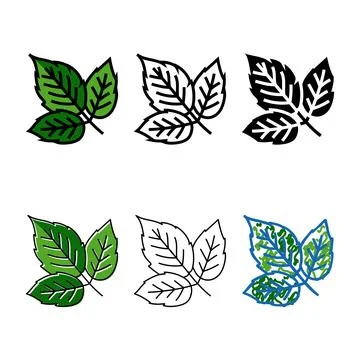 Leaves raspberry fruit color icon vector multipack 스톡 일러스트