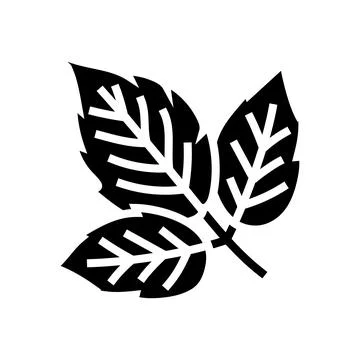 Leaves raspberry fruit glyph icon vector illustration Stock Illustration