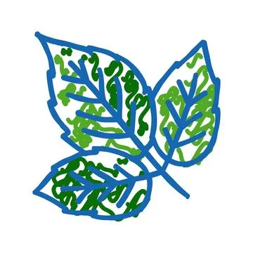 Leaves raspberry fruit icon doodle illustration Stock Illustration