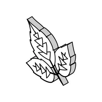 Leaves raspberry fruit isometric icon vector illustration Illustrazione stock