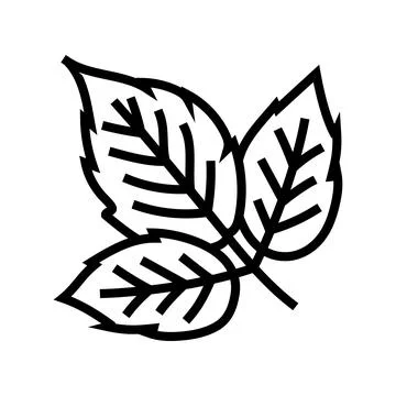 Leaves raspberry fruit line icon vector illustration Stockillustratie