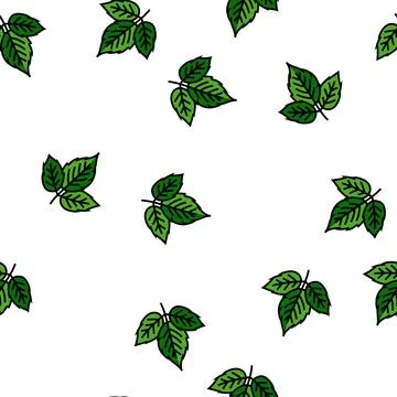 Leaves raspberry fruit vector seamless pattern Stock Illustration