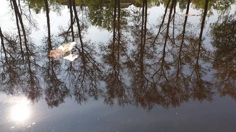 Leaves on the river in the fall. Fallen autumn leaves on the water. Stock Footage 115893841