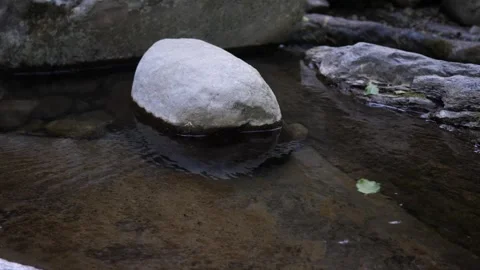 Leaves in the river 스톡 동영상 211820618