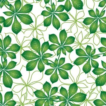 Leaves, Seamless Stock Illustration