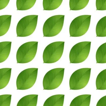 Leaves seamless isolated Stock Illustration