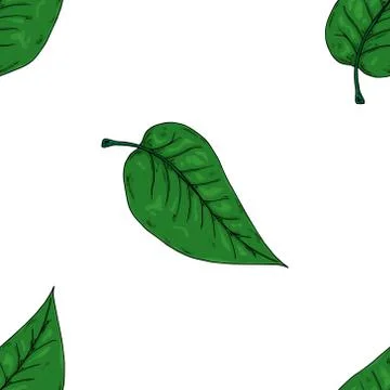 Leaves seamless pattern. Autumn, spring leaves. Vector of a seamless pattern  Stock Illustration