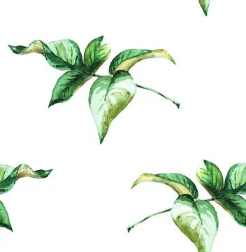 Leaves. Seamless pattern. Watercolor Stock Illustration