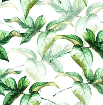 Leaves. Seamless pattern. Watercolor Stock Illustration