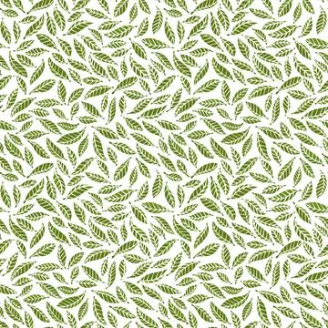 Leaves Seamless Pattern on White Background (Green) Stock Illustration