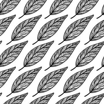 Leaves seamless vector pattern. Botanical element with veins on the stem Stock Illustration