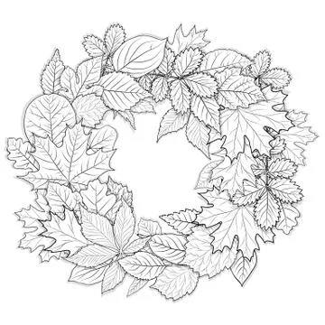 Leaves set for coloring page vector Stock Illustration