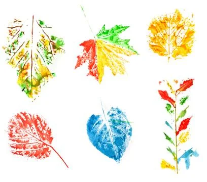 Leaves set Stock Illustration