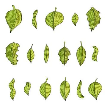 Leaves Set Stock Illustration