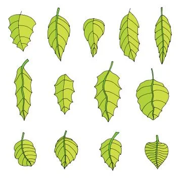 Leaves Set Stockillustratie