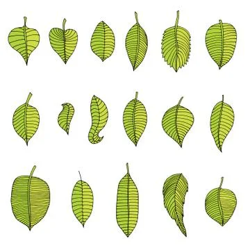 Leaves Set Stock Illustration