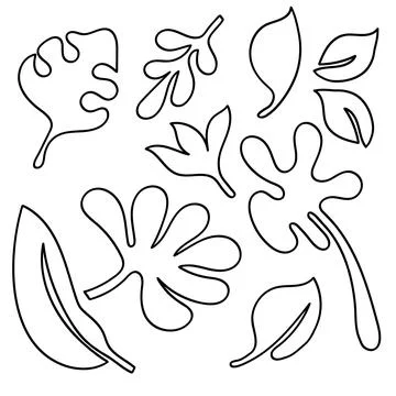 Leaves Set Outline Summer Elements.Abstract Botanical Organic Shape Line Ar.. Stock Illustration