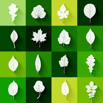 Leaves set vector background Stock Illustration