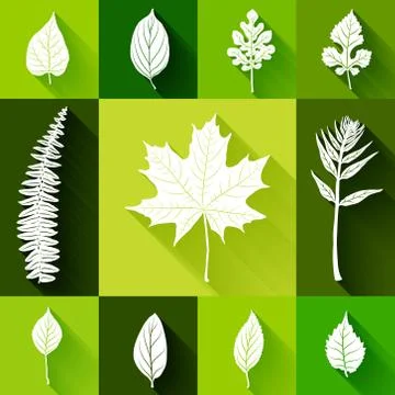 Leaves set vector background Stock Illustration