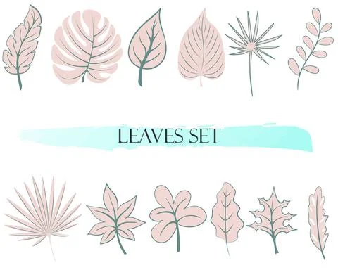 Leaves set, vector. Botanical simple elements of delicate pink color. Stock Illustration