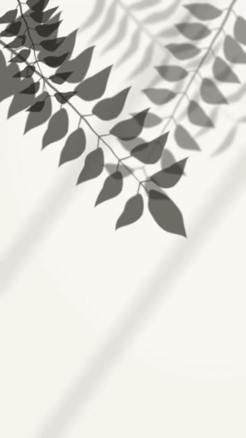 Leaves shadow motion graphic overlay loop foliage nature backdrop style Stock Footage 346544888