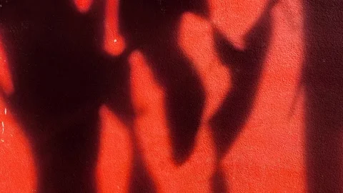 Leaves shadow on the wall Stock Footage 310864021