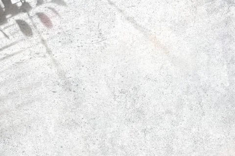 Leaves shadow on a white wall 스톡 일러스트
