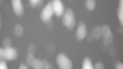 Leaves shadows on white color wall. Trendy Overlay effect. Plant shadow Stock Footage 201623351