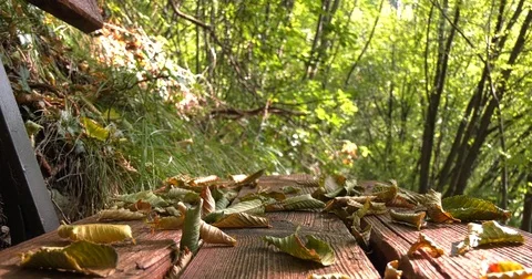 Leaves shifted from the wind on bench in the woods Stock Footage