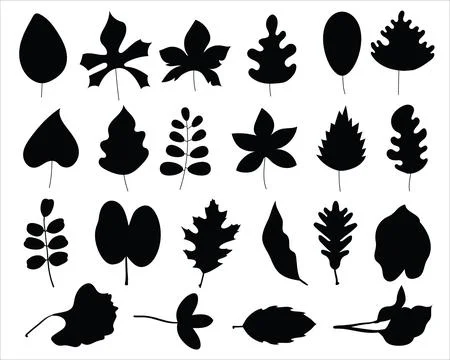 LEAVES SILHOUETTE VECTOR ART Stock Illustration